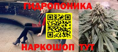 прущие грибы Камышлов