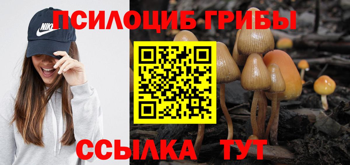 Янаул  наркошоп  Вход с VPN  Галлюциногенные грибы прущие грибы 